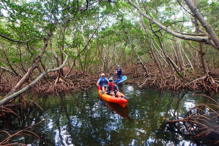 a man riding on the back of a boat next to a forest