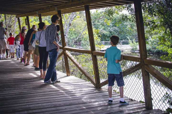 a group of people standing next to a fence