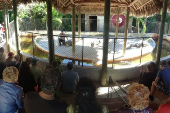 Everglades-Tours-Miami-Wannado-Tours