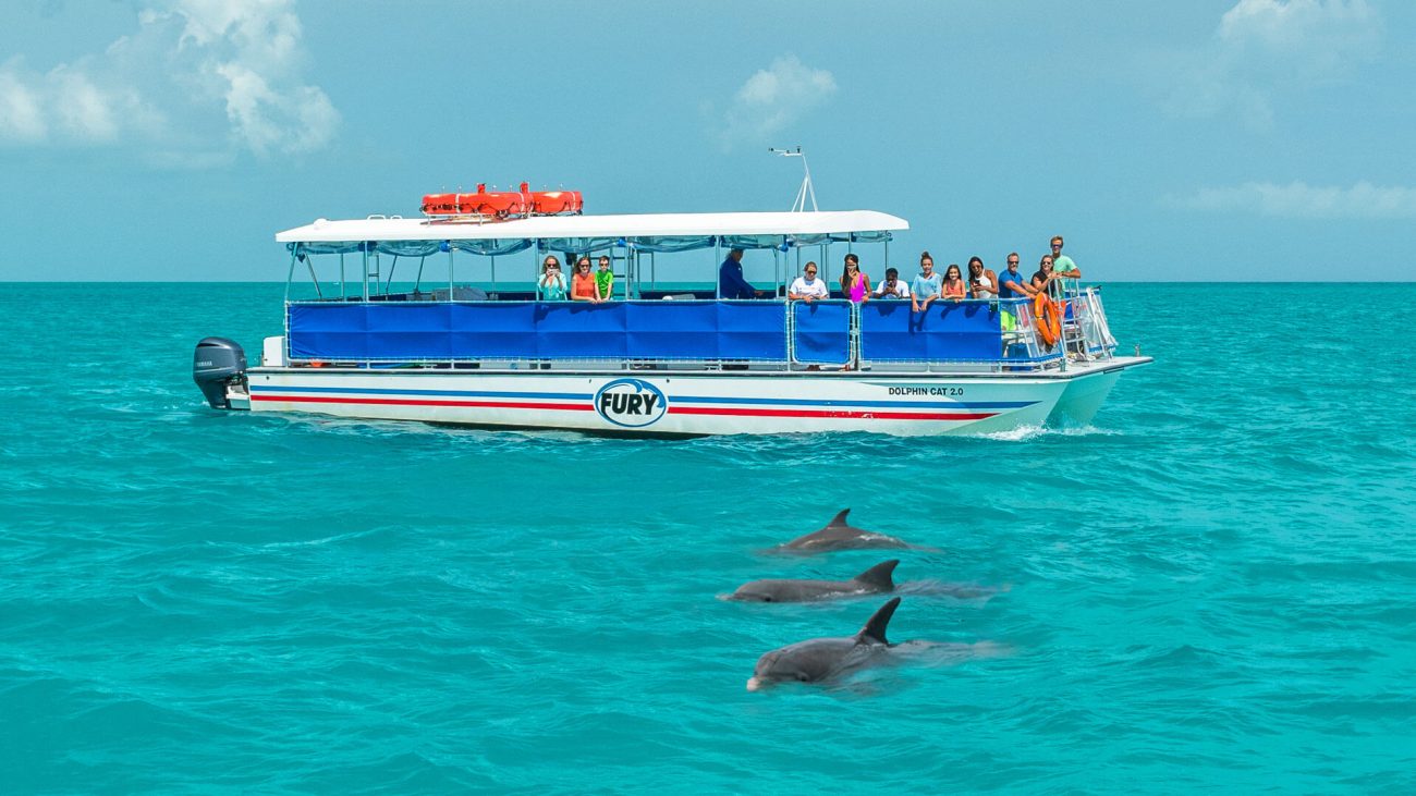 TICA DOLPHIN SE6000H 2台セット Key West Dolphin Tour & Snorkel | Wannado Tours