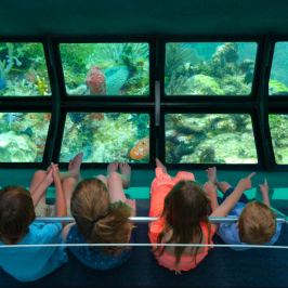 a group of people standing in front of a window