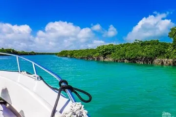 Miami Biscayne Bay Boat Tour - Wannado Tours