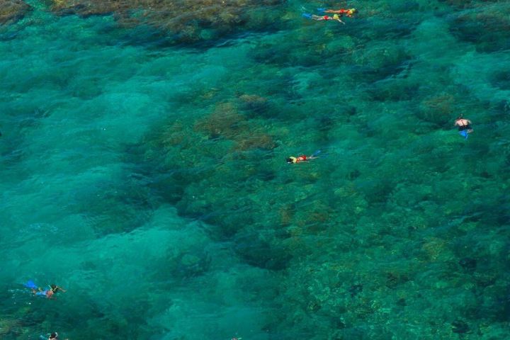 a group of people swimming in the water