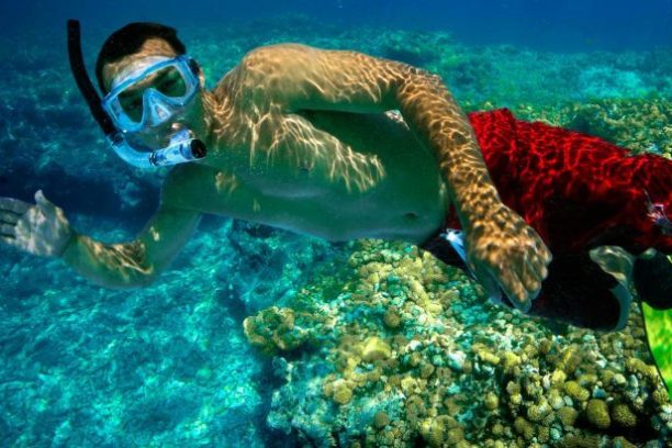 a bird swimming in water