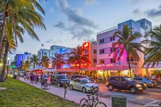 a group of palm trees on the side of a road