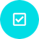 chk1 icon