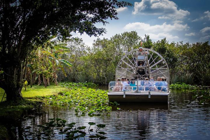 a small boat in a body of water surrounded by trees