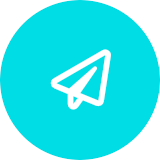 pln1 icon