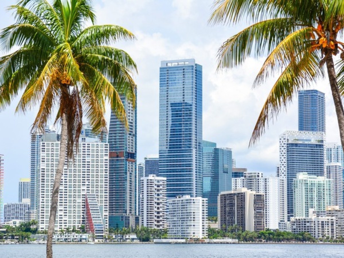 Miami Skyline Cruise - Wannado Tours