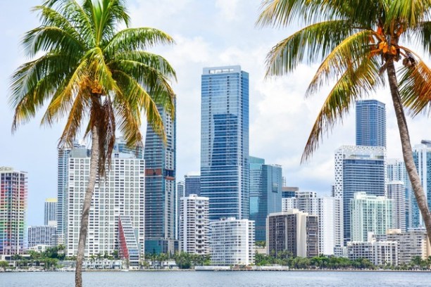 Miami Skyline Cruise - Wannado Tours