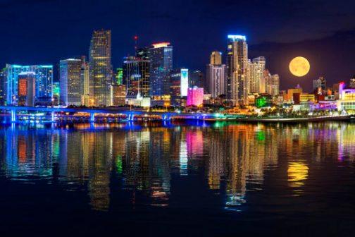 Miami Night Cruise - Wannado Tours