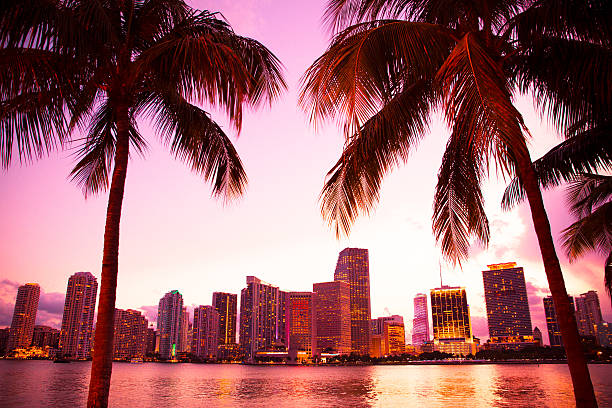 Miami Sunset Cocktail Cruise - Wannado Tours